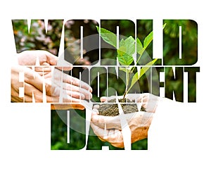 World Environment Day text, old and young hands, green sprout, white background.