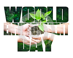 World Environment Day text, old and young hands, green sprout, white background.