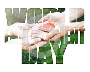 World Environment Day text, old and young hands, green sprout, white background.