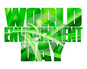 World Environment Day text, old and young hands, green sprout, white background.