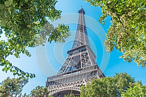 World famous Eiffel tower seen through green leaves under a blue sky