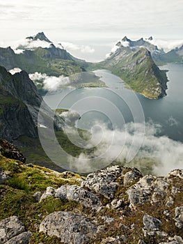 The world famous Reinefjorden shot from the ridge