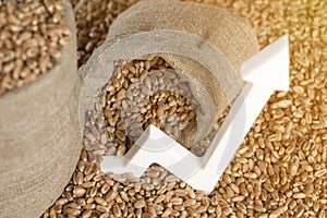 World food crisis. Grains of wheat, close-up. Grain harvest, poor harvest. Wheat price, futures, derivatives, contracts.