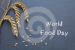 World Food Day, October 16, chalkboard with cereal and text