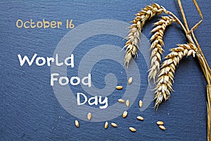 World Food Day, October 16, chalkboard with cereal and text