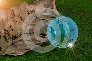 World globe crystal glass on dry leaf on green moss and reflect shine sun. World environment day. Global business for sustainable
