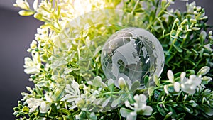 World globe crystal glass on green leaves bush