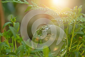 World globe crystal glass on green leaves bush. Green & Eco environment. Environmental conservation. World environment day. Global