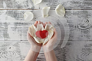 World Heart Care Day Background. White Rose petal in human hands