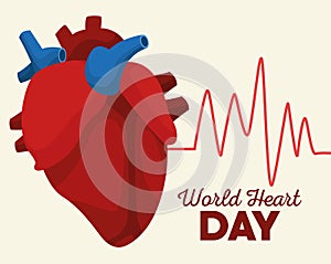 World heart day lettering with organ with cardiology pulse line