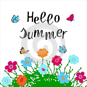 Hello Summer hand drawn lettering phrase with floral compositin on white background. photo