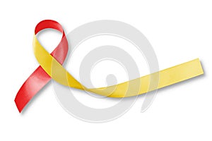 World hepatitis day and HIV/ HCV co-infection awareness with red yellow ribbon isolated  with clipping path on white background photo