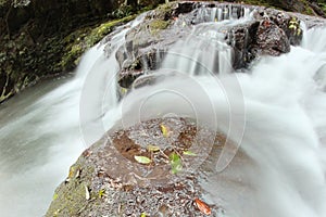 World heritage area elabana falls