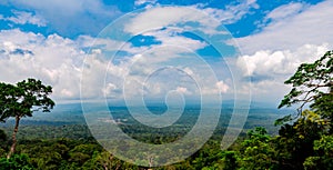 World heritage. Green dense tall trees on the mountain and blue sky and cumulus clouds.