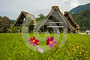 World heritage shirakawago gasshozukuri houses photo