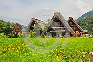 World heritage shirakawago gasshozukuri houses photo