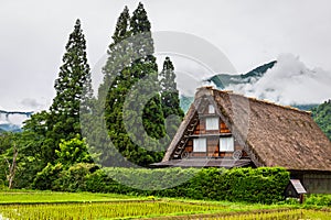 World Heritage Shirakawago Village is a farming village located in a valley along with clouds and fog