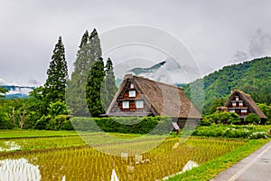 World Heritage Shirakawago Village is a farming village located in a valley along with clouds and fog the Shogawa River