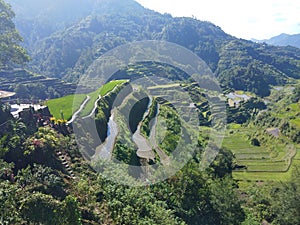 World heritage site banaue rice terraces ifugao