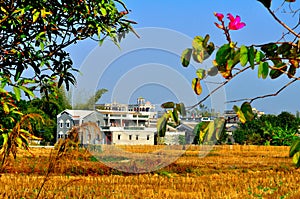 World Heritage Site Kaiping Diaolou and Villages