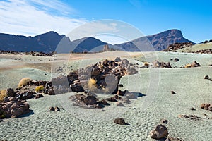 Teide National Park, Santa Cruz de Tenerife in Canary Islands, Spain. photo