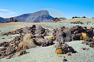 Teide National Park, Santa Cruz de Tenerife in Canary Islands, Spain. photo