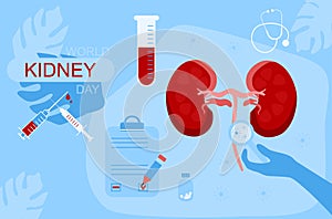 World Kidney day 11 March vector banner.Pyelonephritis disease.Stones,Cystitis in organ.Chronic illness.