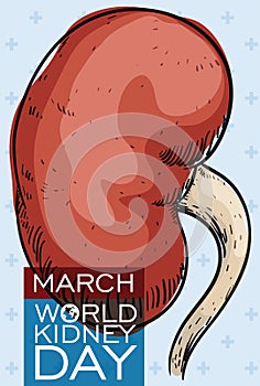 World Kidney Day Design with Hand Drawn Kidney, Vector Illustration