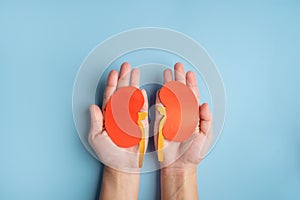 World kidney day. Human hands holding healthy kidney shape made from paper on light blue background