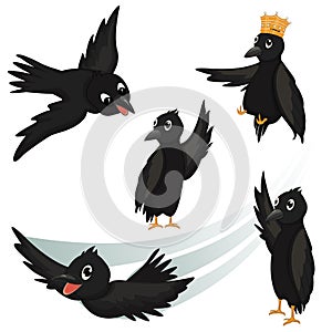 Crows Vector Illustrations