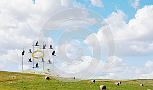 World largest geeses from north dakota photo