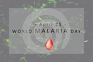 World Malaria Day concept