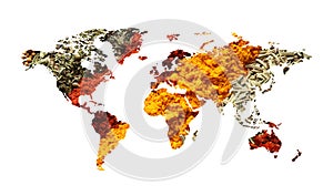 World map of different aromatic spices on white background.