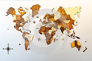 World map of earth showing continents on a wood tree ring texture background on white