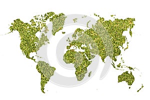 World map with green grass