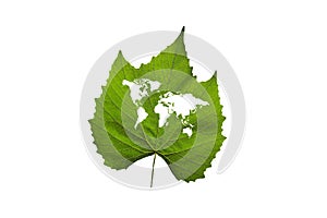 World map on a green leaf