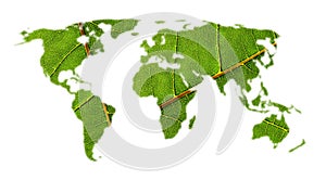 World map with leaf texture