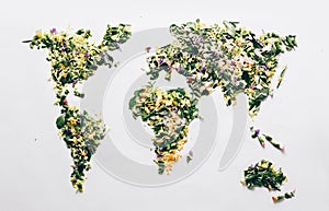 World map made with wild spring flowers petals, leaves and stems on white