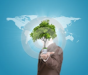 World map and man hold bulb with tree