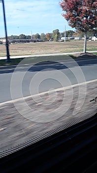 The world outside my window