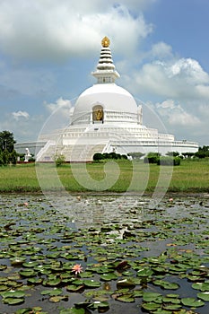 World Peace Pagoda