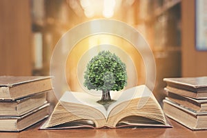 World philosophy day concept with tree of knowledge planting on opening old big book in library full with textbook, stack piles photo