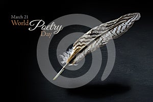 World Poetry Day with a black and white patterned feather over a photo