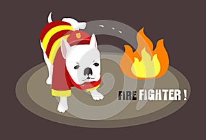 The World's Best Firefighter