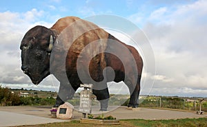World's largest buffalo,N.Dakota photo