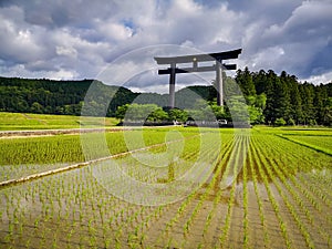 The world`s largest torii gate at the entrance of the sacred site of the Kumano Hongu Taisha on the Kumano Kodo pilgrimage trail photo