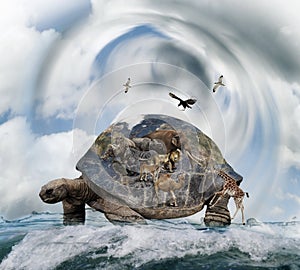World Turtle Concept