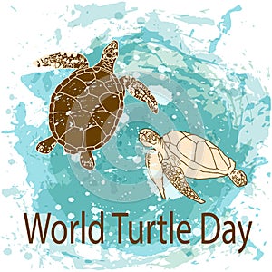 World Turtle Day concept