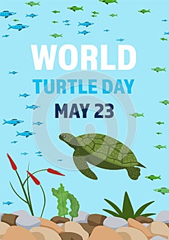 World turtle day in may