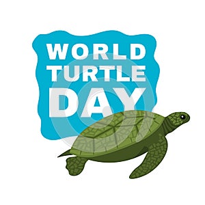 World turtle day in May. International event.